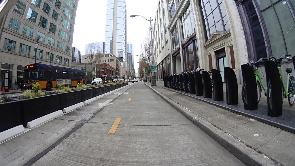 Concrete lane dividers and plants settled in the middle of the road to separate different lanes