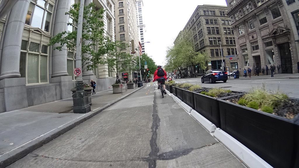 Plants settled in the middle of a road to be used as a lane separator to separate cycle lanes and motor vehicle lanes