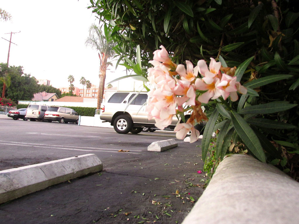 Concrete parking kerbs installed in an outside parking lot for parking management