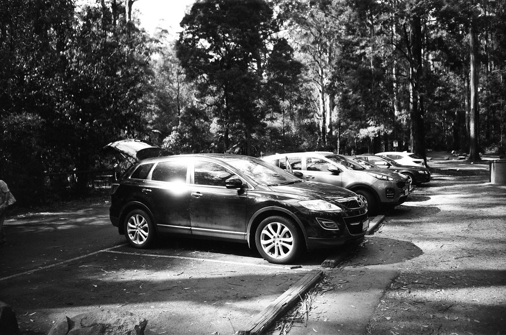 Parking kerbs installed in an outdoor parking lot for better parking management