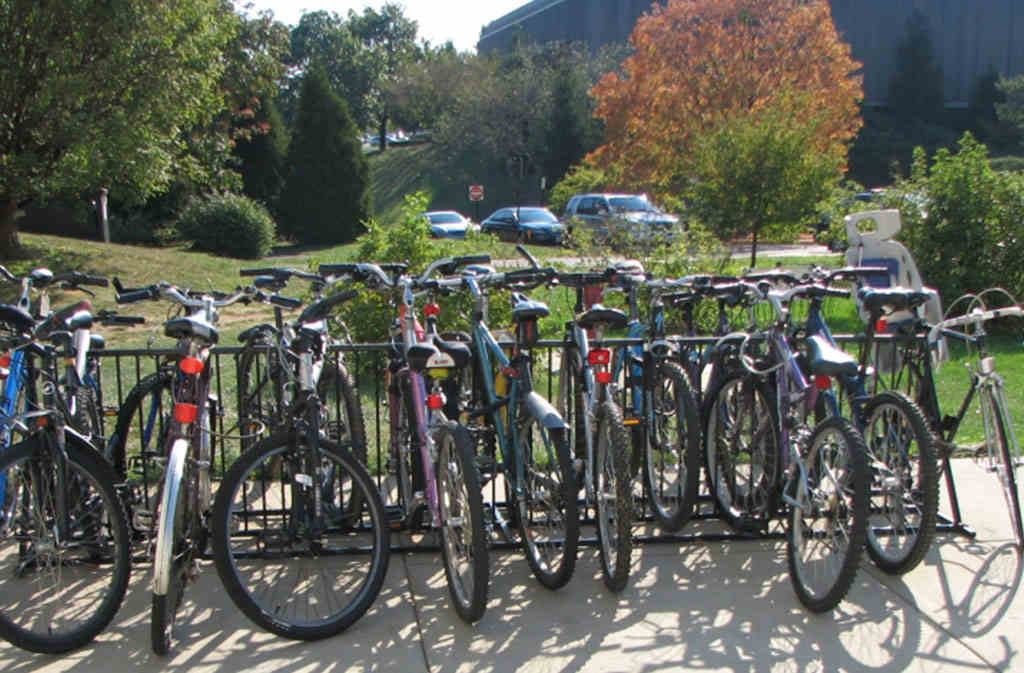 Many bicycles parked on grid-style bike racks.