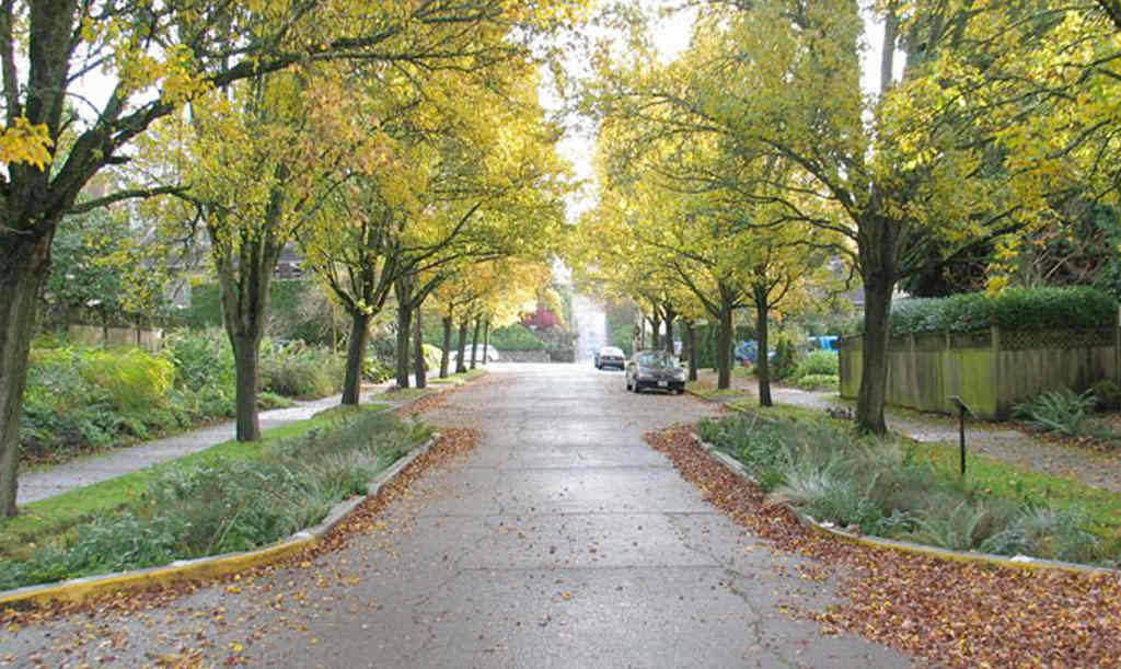 A pinch point which reduces the width of a small section of the road.